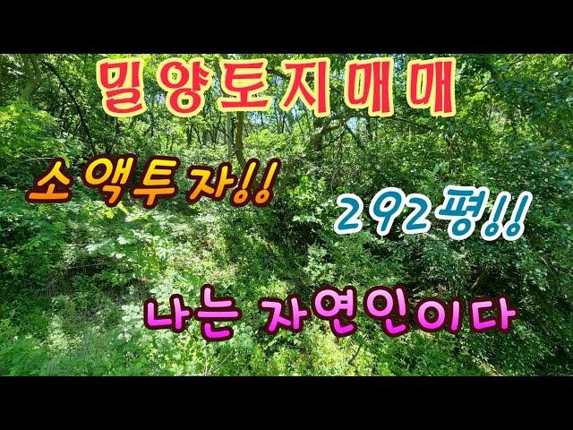 나는 자연인이다~!! 청도군 매전면 소액투자가능한 토지 #청도토지매매 #밀양부동산 #밀양토지매매 #청도전원주택매매 #청도촌집매매 #청도땅매매 #밀양전원주택매매 #밀양임야매매