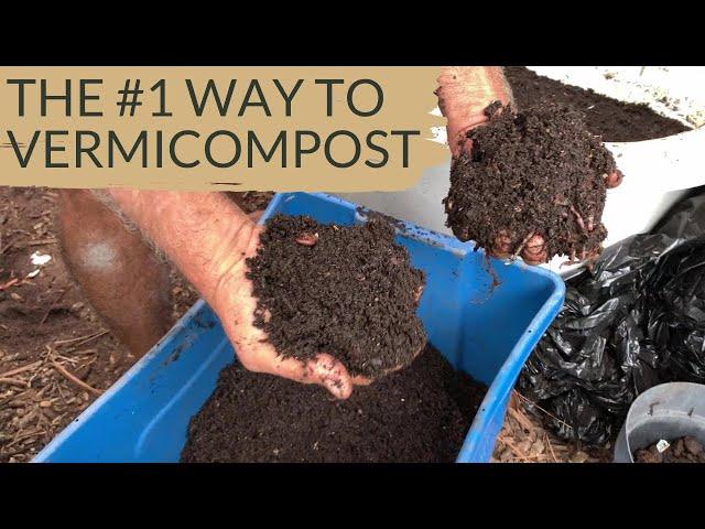 I Wish I Knew This Vermicomposting Method When I Started.