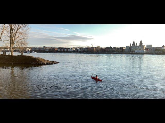 Mainz-Kastel - Frühlingsbeginn 2021 am Kasteler Rheinufer