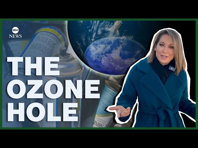 Whatever happened to the ozone hole?