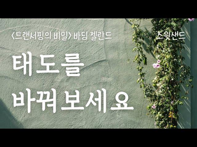 세상에 대한 여러분의 느낌은 고스란히 반영될 겁니다 / 트랜서핑의 비밀 바딤 젤란드 / 스윗샌드 낭독