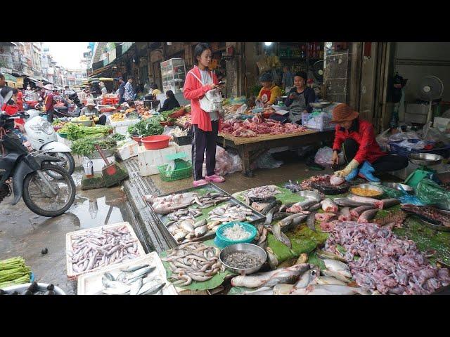 Morning Street Food Market Scene Vs Fish Market - Plenty Alive Fish, Fresh Vegetable & More Food