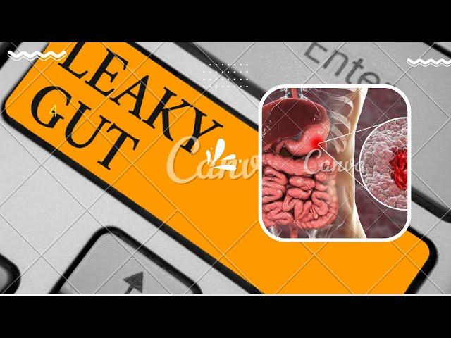 Discover 4 Gut Destroying Foods