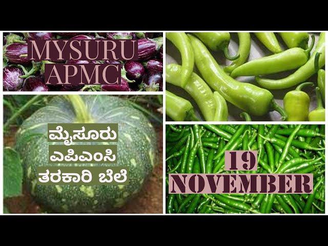 ,Mysuru APMC Vegetable Prices November 19,2024