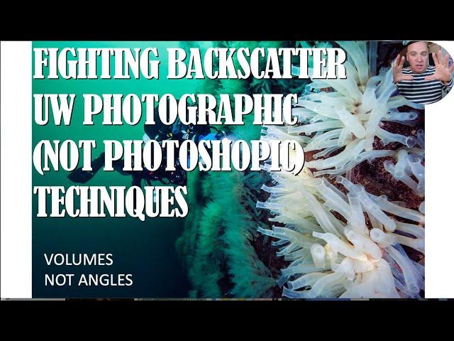 Alex Mustard on Eliminating Backscatter in Underwater Photography. Webinar + Q&A from Facebook Live