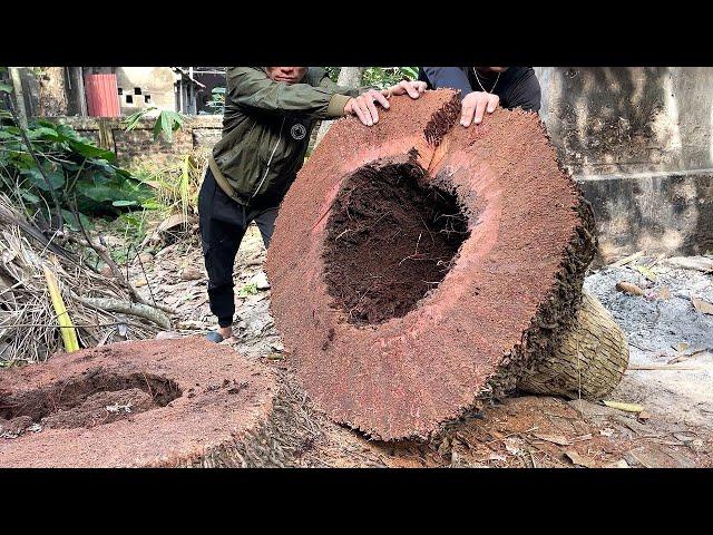 Unique Wroject To Restore Damaged Tree Stumps Creating The Best Woodworking Products