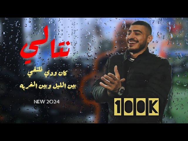 ابو اللبيب - نتالي - بين الليل بين الغربه | دبكات حصريـاً 2024