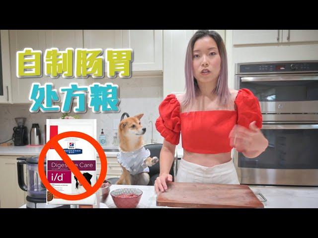 自制狗狗肠胃处方粮 软便拉肚呕吐肠胃炎寄生虫感染 Homemade GI diet for Dog