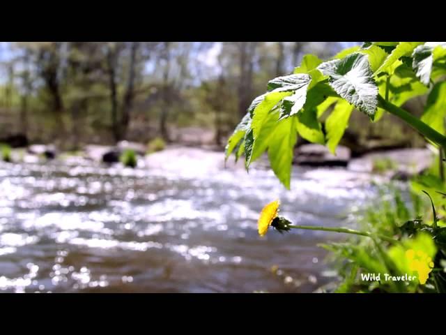 Самые красивые места в Украине: Корсунь-Шевченковский парк.