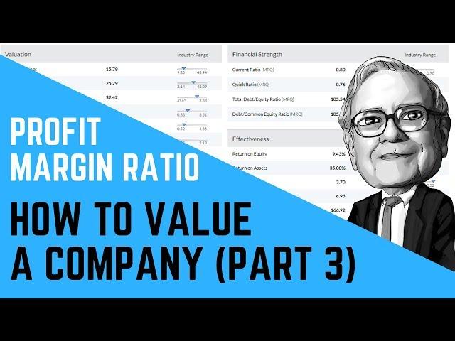 Net Profit Margin Ratio Explained! | The Best Way To Value A Stock (Part 3)