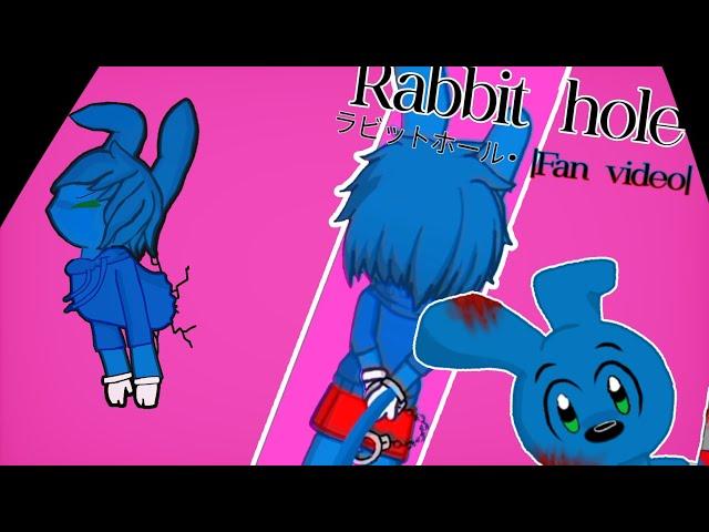 Rabbit hole • ラビットホール | Fan video for @DannoCal  & @RiggyRunkey  | ️|Kassie Blind Fox