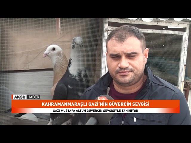 Kahramanmaraşlı Gazi’nin güvercin sevgisi