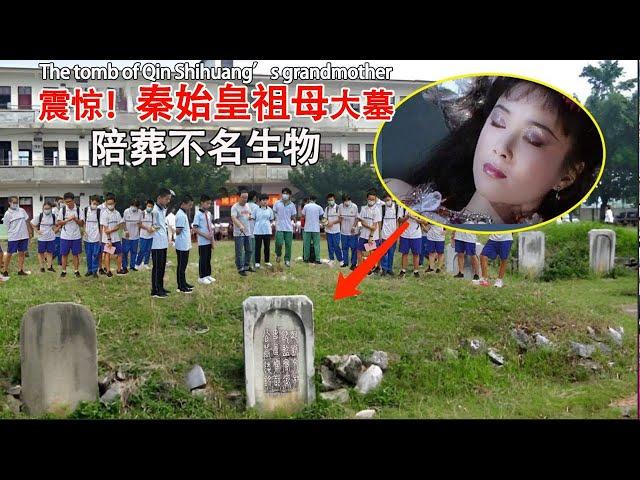 The tomb of "Qin Shihuang's grandmother" was excavated, and a large extinct creature was found