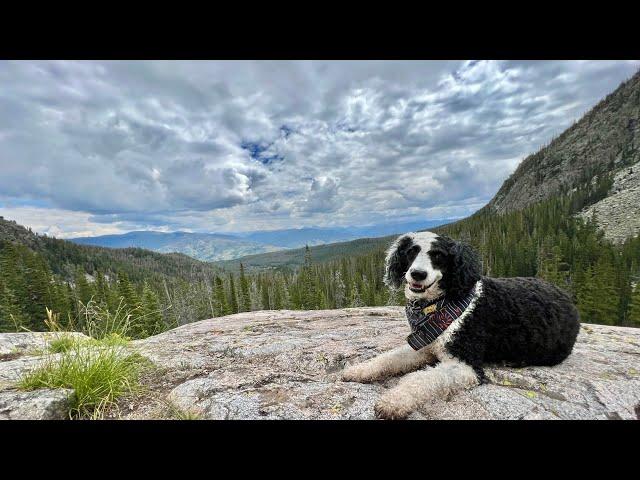 Hike to Willow Creek Falls - Silverthorne, Colorado - 4K