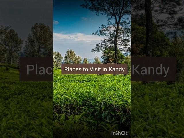 Places to visit in Kandy #shorts #explore #travel #food #ramkitraveller