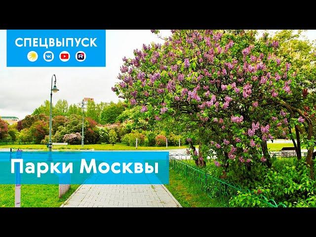 Спецвыпуск: парки Москвы