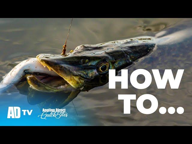 How To Tie A Pike Deadbait Trace - Pike Fishing Quickbite