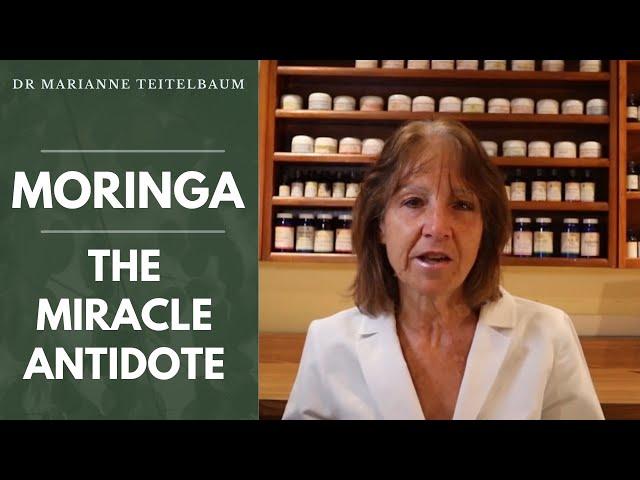 Moringa - The Miracle Antidote