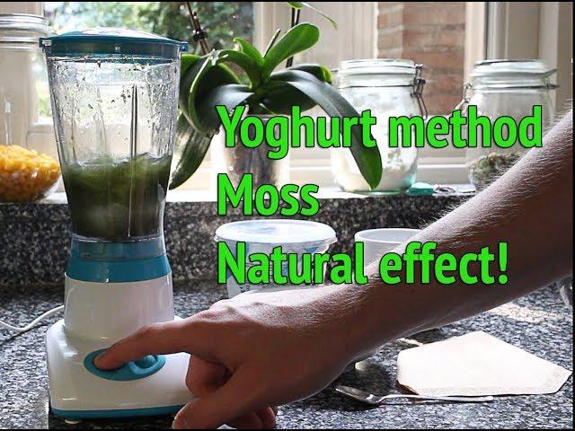 Dry Start Method Aquarium - How to grow aquarium moss