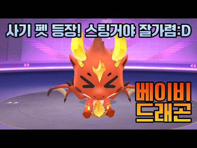 [카러플] 사기 조합이야 이건! 현무 + 베이비 드래곤 리뷰
