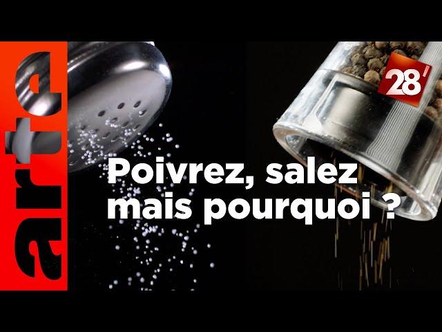 Intéressant : Pourquoi met-on du sel et du poivre sur toutes les tables ? | 28 minutes | ARTE