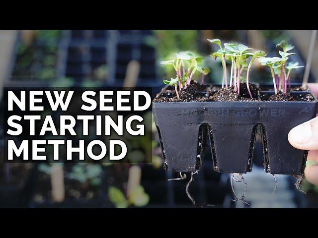 My NEW Favorite Seed Starting Method 