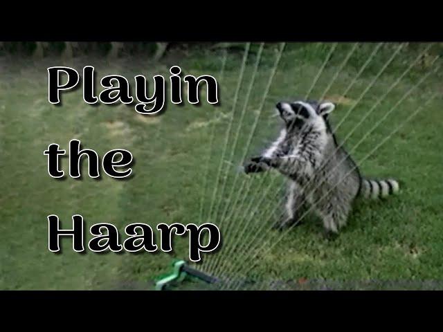 I played the HAARP until he made a D***H Threat