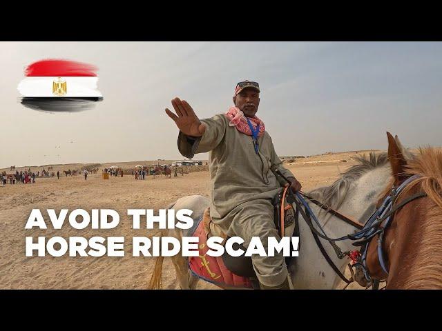 Horse Ride Scam at the Pyramids of Giza 