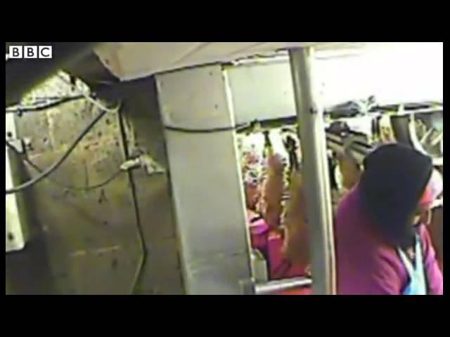 BBC News   Footage exposes Thirsk abattoir cruelty