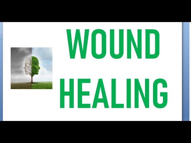 Surgery 012 Wound Healing steps phase process inflammatory proliferative remodeling injury stage