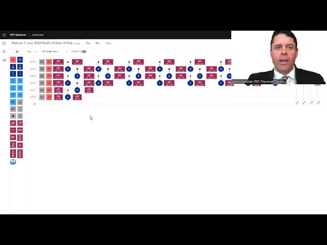 Live Demo: From Quantum Gate Calculations to Brain Algorithms Design