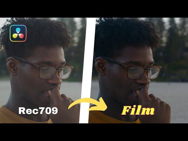 Davinci Resolve Film Look + Free PowerGrade