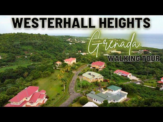 A Walk Through The Picturesque Westerhall Heights, St. David, Grenada! | Walking Vlog | Walking Tour