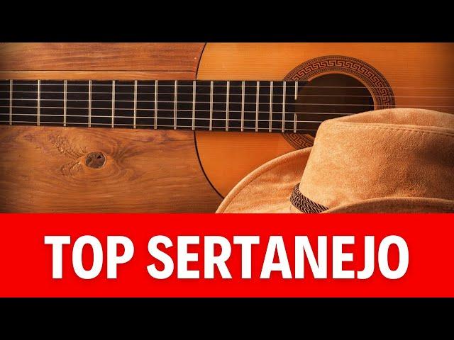 Músicas Sertanejas Mais Tocadas em 2019  Top Sertanejo 2019