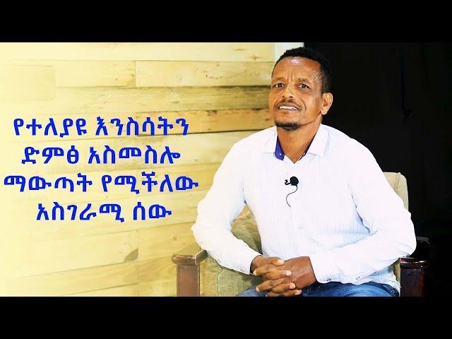 GMM TV : ጂ ኤም ኤም ወጣቶች# የተለያዩ እንስሳትን ድምፅ አስመስሎ ማውጣት የሚችለው አስገራሚ ሰው!