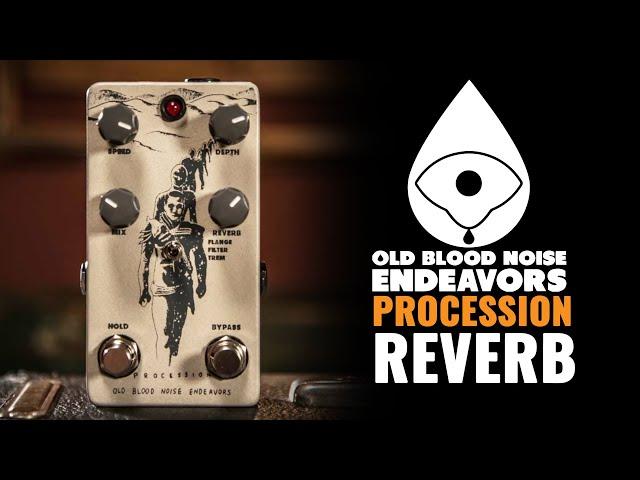 Old Blood Noise Endeavors Procession Reverb | CME Gear Demo | Shelby Pollard