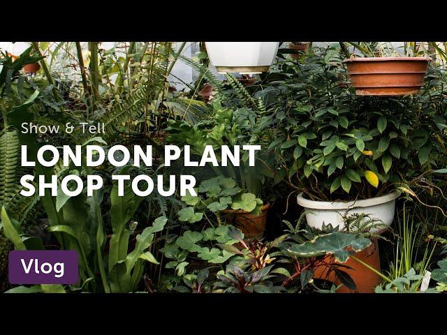 LONDON PLANT SHOP Tour: N1 Garden Center — Vlog 036