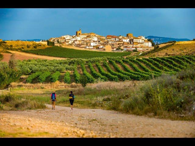 Camino de Santiago - 2024