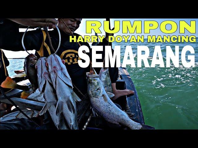 Rumpon kakap putih di semarang yang satu ini memang selalu gacor