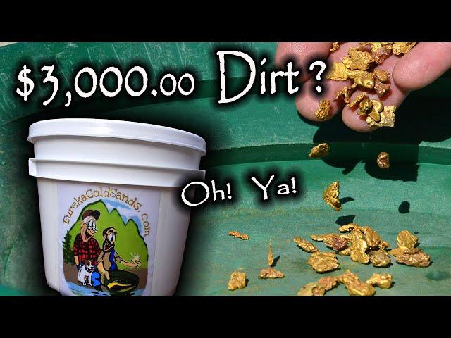 $3200.00 Bucket of Dirt?  Gold Nuggets!  Oh Ya!