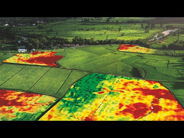 Applications of Remote Sensing in Precision Farming