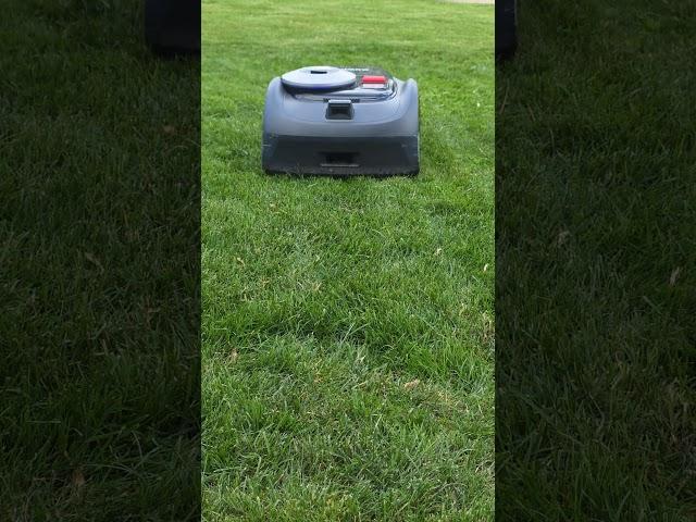 Segway Navimow mowing the lawn #dreamtrackai