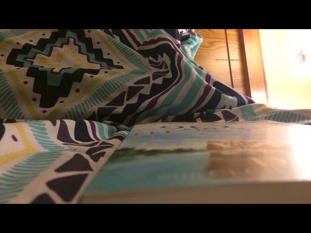 ASMR •Inaudible Whisper• Reading 90 Minutes In Heaven