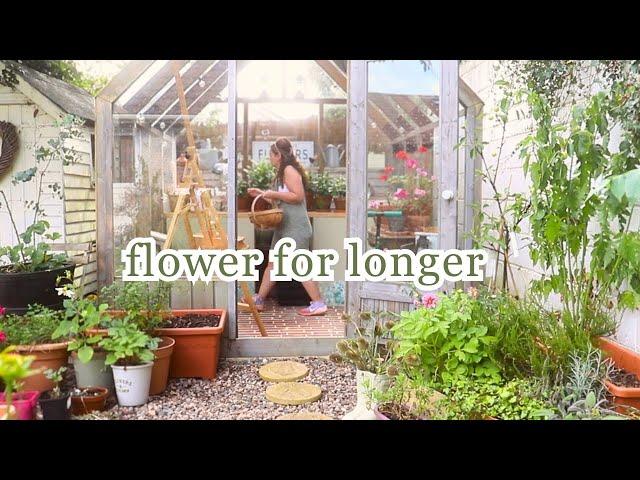 My Secret For Extending Your Cottage Garden's Flowers 