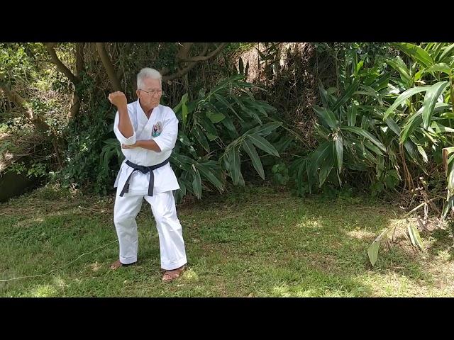 Naihanchi Kata