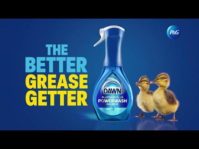 Dawn Powerwash Dish Spray – The Better Grease Getter