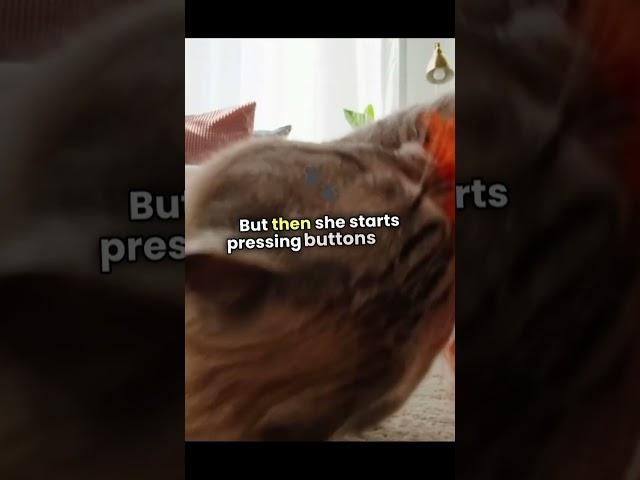 Nine Lives, One Controller: Cat Gamer Takeover! #joke #laugh #science