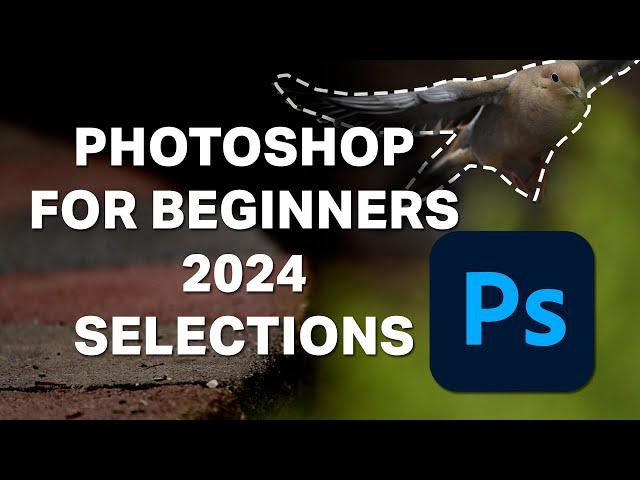 Photoshop for Beginners 2024 - Lesson 4 - Selections