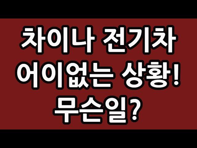 차이나 전기차 SOLACTIVE 주식 주가 전망 타이거 TIGER 중국 ETF 비야디 테슬라 니콜라 루시드 엔비디아 아이온큐 TQQQ SOXL TMF 왜들 그러는지!