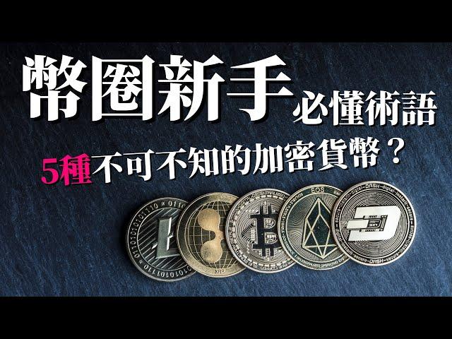 [蕾咪] 5種常見加密貨幣！？穩定幣、主流幣、空氣幣、傳銷幣、山寨幣是什麼？幣圈韭菜幣種專有名詞！